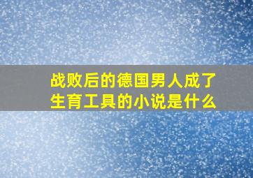 战败后的德国男人成了生育工具的小说是什么