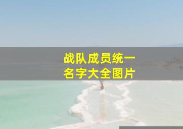 战队成员统一名字大全图片