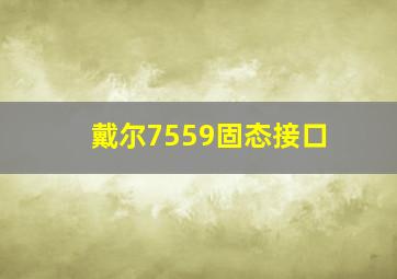 戴尔7559固态接口