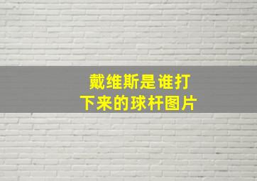 戴维斯是谁打下来的球杆图片