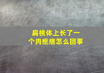 扁桃体上长了一个肉疙瘩怎么回事