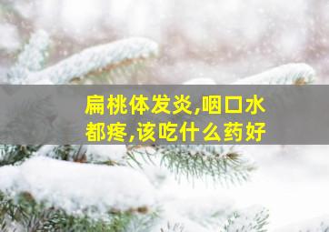 扁桃体发炎,咽口水都疼,该吃什么药好