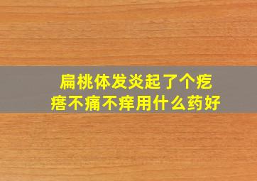 扁桃体发炎起了个疙瘩不痛不痒用什么药好