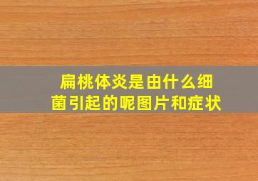 扁桃体炎是由什么细菌引起的呢图片和症状