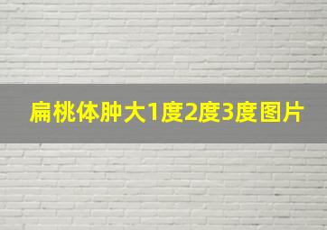 扁桃体肿大1度2度3度图片