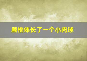 扁桃体长了一个小肉球