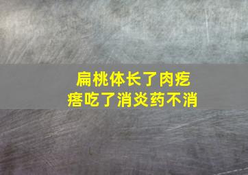 扁桃体长了肉疙瘩吃了消炎药不消