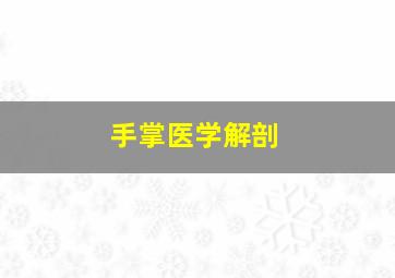 手掌医学解剖