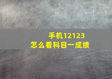 手机12123怎么看科目一成绩