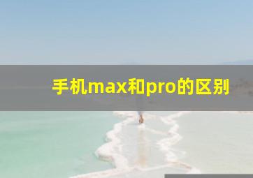 手机max和pro的区别