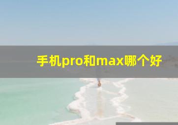 手机pro和max哪个好