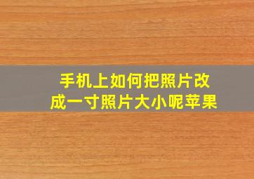 手机上如何把照片改成一寸照片大小呢苹果