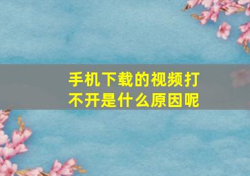 手机下载的视频打不开是什么原因呢