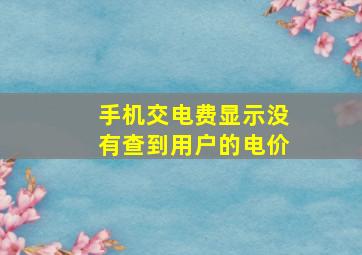 手机交电费显示没有查到用户的电价