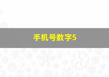 手机号数字5