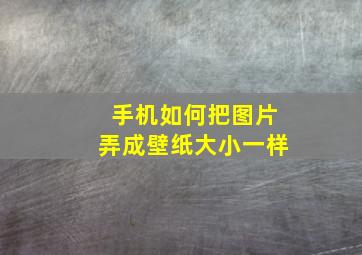 手机如何把图片弄成壁纸大小一样