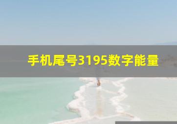 手机尾号3195数字能量