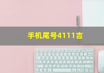 手机尾号4111吉