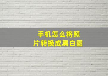 手机怎么将照片转换成黑白图