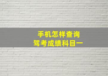 手机怎样查询驾考成绩科目一