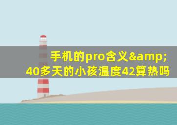 手机的pro含义&40多天的小孩温度42算热吗