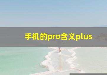 手机的pro含义plus