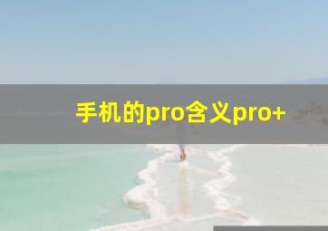 手机的pro含义pro+