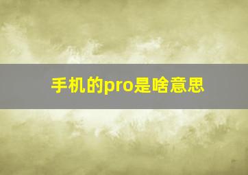 手机的pro是啥意思