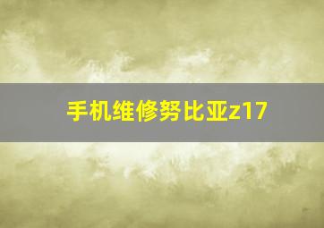 手机维修努比亚z17