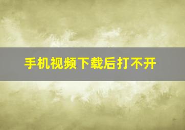 手机视频下载后打不开