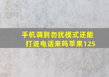 手机调到勿扰模式还能打进电话来吗苹果12S