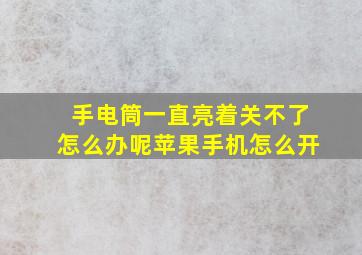 手电筒一直亮着关不了怎么办呢苹果手机怎么开