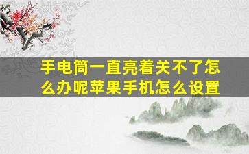 手电筒一直亮着关不了怎么办呢苹果手机怎么设置