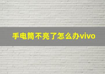 手电筒不亮了怎么办vivo