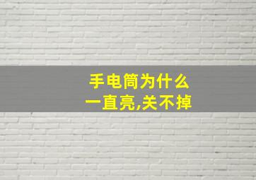 手电筒为什么一直亮,关不掉