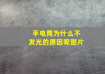 手电筒为什么不发光的原因呢图片