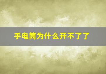 手电筒为什么开不了了