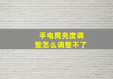 手电筒亮度调整怎么调整不了