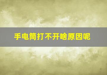 手电筒打不开啥原因呢