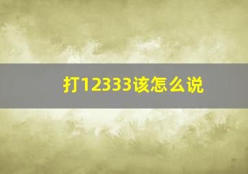 打12333该怎么说