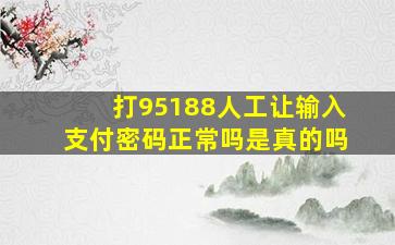 打95188人工让输入支付密码正常吗是真的吗