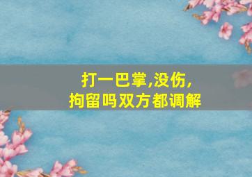 打一巴掌,没伤,拘留吗双方都调解