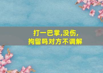 打一巴掌,没伤,拘留吗对方不调解