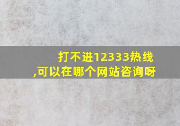 打不进12333热线,可以在哪个网站咨询呀