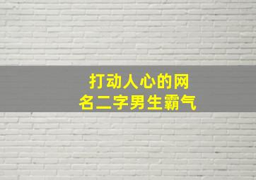 打动人心的网名二字男生霸气