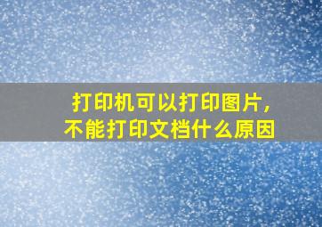 打印机可以打印图片,不能打印文档什么原因