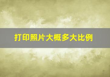 打印照片大概多大比例