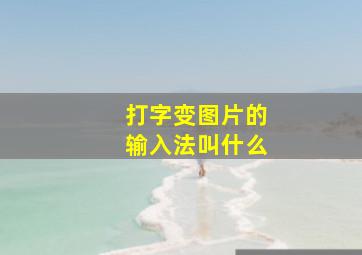 打字变图片的输入法叫什么