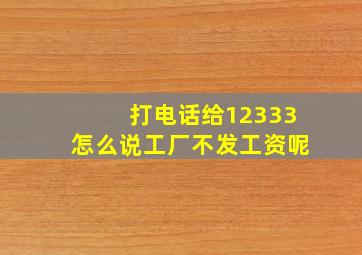 打电话给12333怎么说工厂不发工资呢