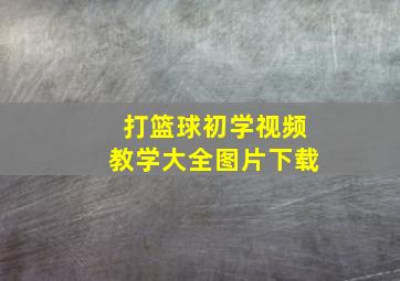 打篮球初学视频教学大全图片下载